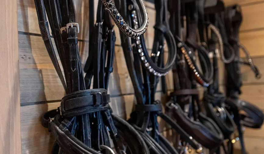 Horse tack and riding equipment neatly organized inside the tack room.
