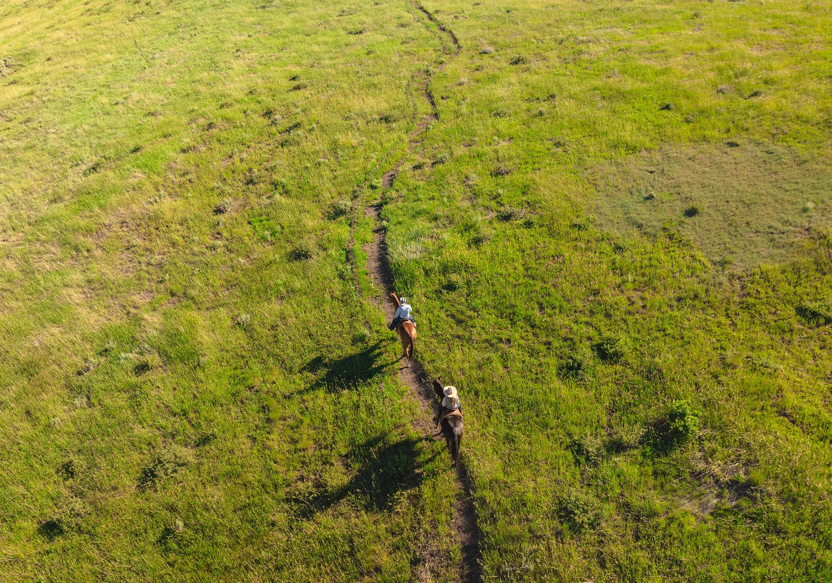 Horseback rider traveling along the private equine-only trail system surrounding SkyRidge Equestrian.