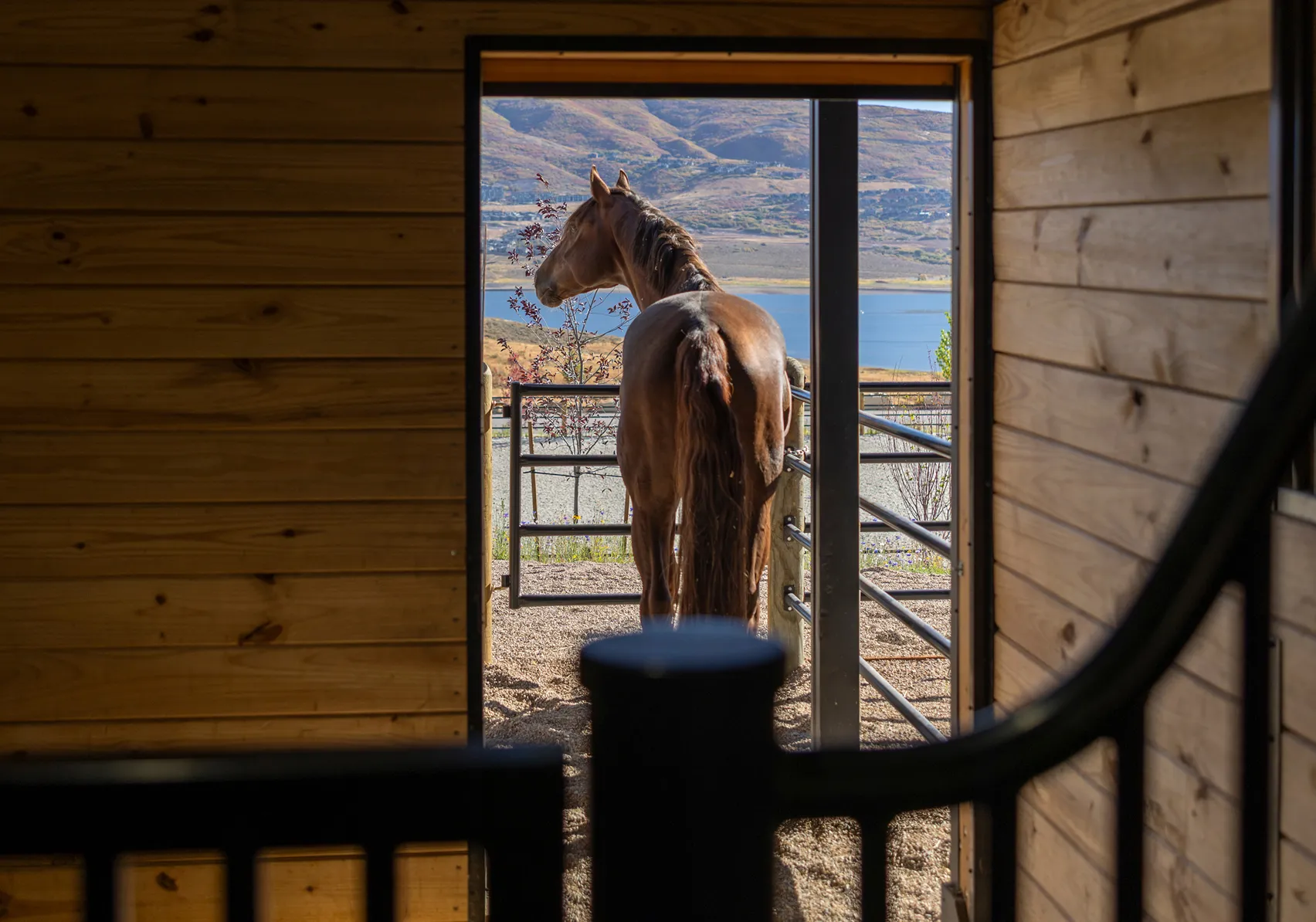 Interior of a spacious horse stall with warm wood finishes and natural light.