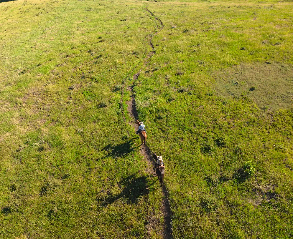 Horseback rider following a winding trail through open meadows surrounding SkyRidge Equestrian.